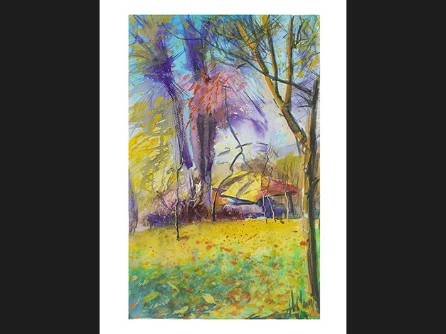 The old dryer under the lime tree